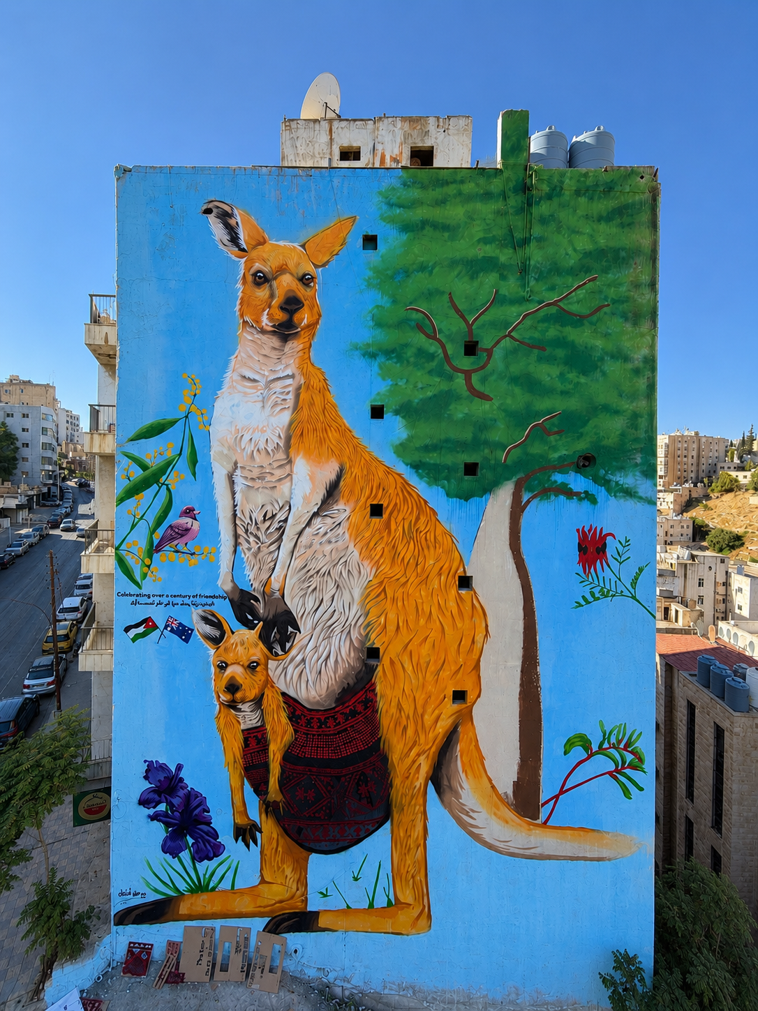 Kangaroo of Amman